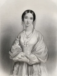 Florence Nightingale (1820-1910) illustratie uit 